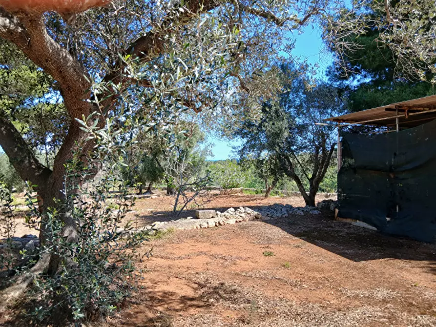 Immagine 21 di Rustico / casale in vendita  in C.da Sierri a Carovigno