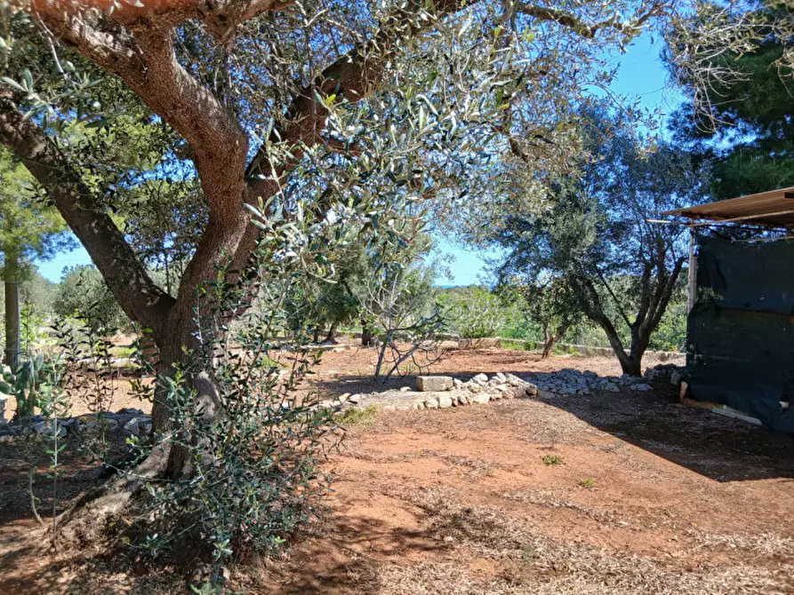 Immagine 22 di Rustico / casale in vendita  in C.da Sierri a Carovigno