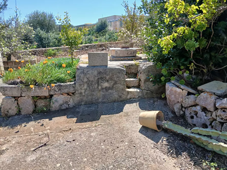 Immagine 23 di Rustico / casale in vendita  in C.da Sierri a Carovigno