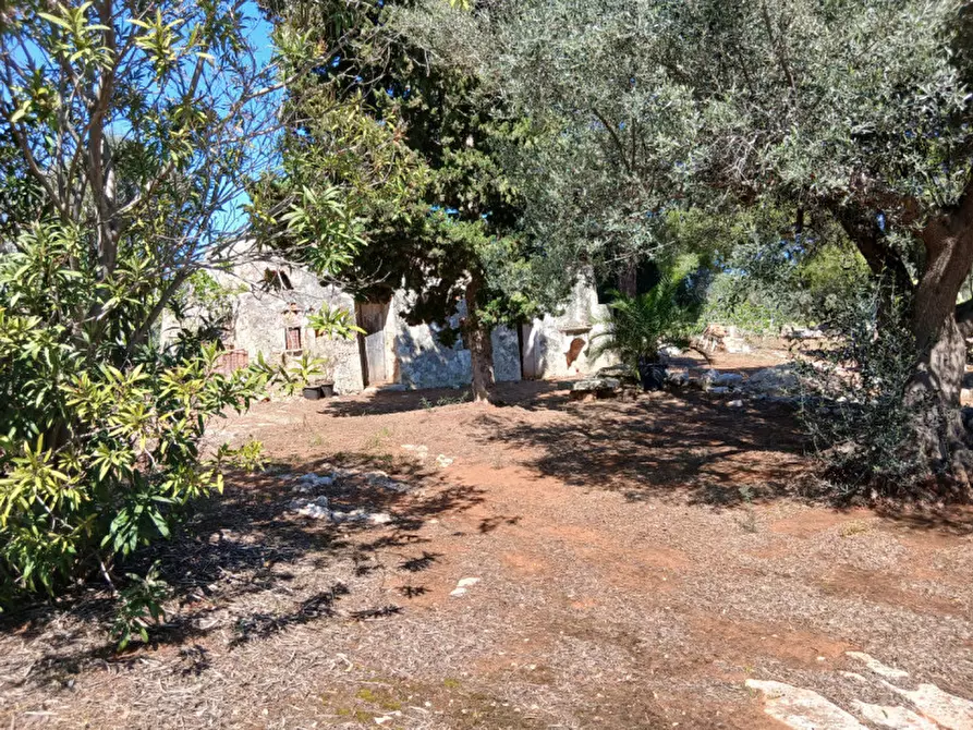 Immagine 24 di Rustico / casale in vendita  in C.da Sierri a Carovigno