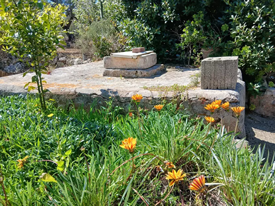 Immagine 25 di Rustico / casale in vendita  in C.da Sierri a Carovigno