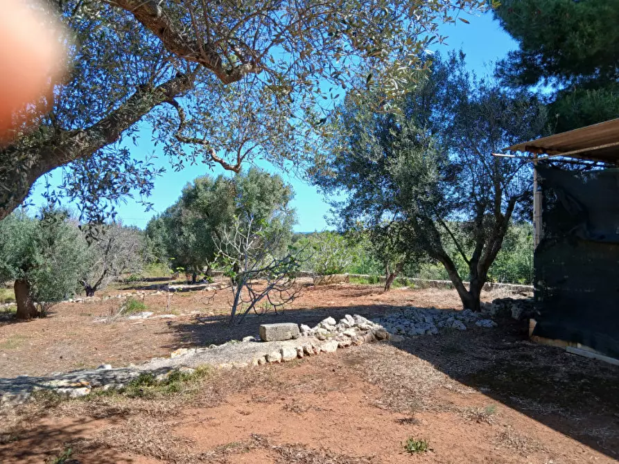 Immagine 26 di Rustico / casale in vendita  in C.da Sierri a Carovigno