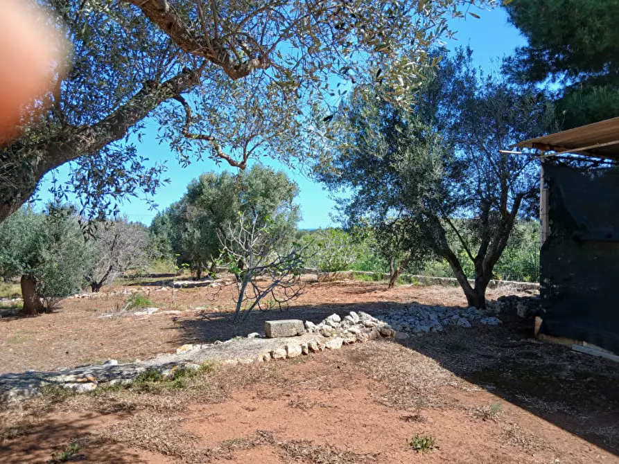 Immagine 27 di Rustico / casale in vendita  in C.da Sierri a Carovigno