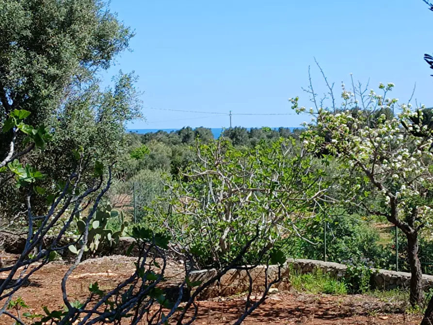 Immagine 30 di Rustico / casale in vendita  in C.da Sierri a Carovigno