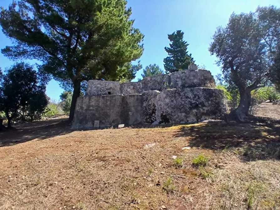 Immagine 35 di Rustico / casale in vendita  in C.da Sierri a Carovigno