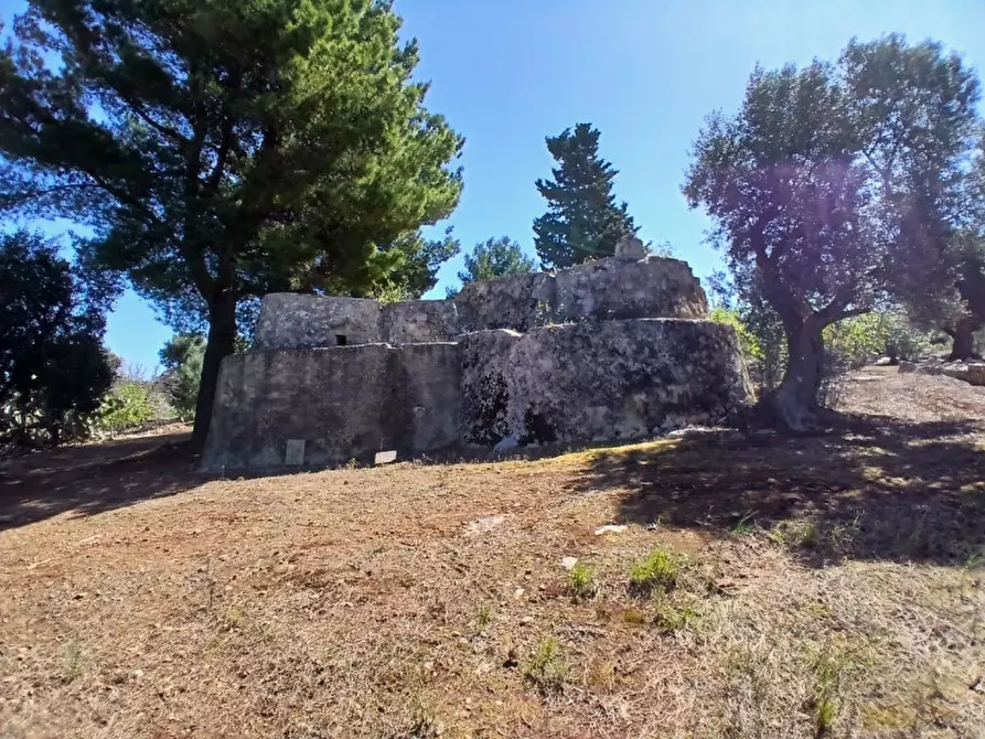 Immagine 36 di Rustico / casale in vendita  in C.da Sierri a Carovigno
