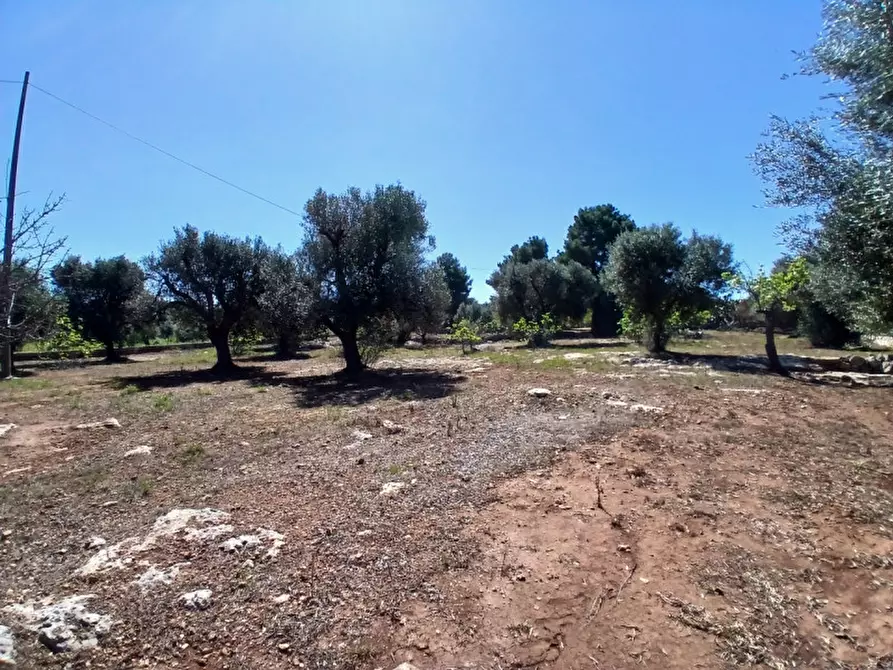 Immagine 38 di Rustico / casale in vendita  in C.da Sierri a Carovigno