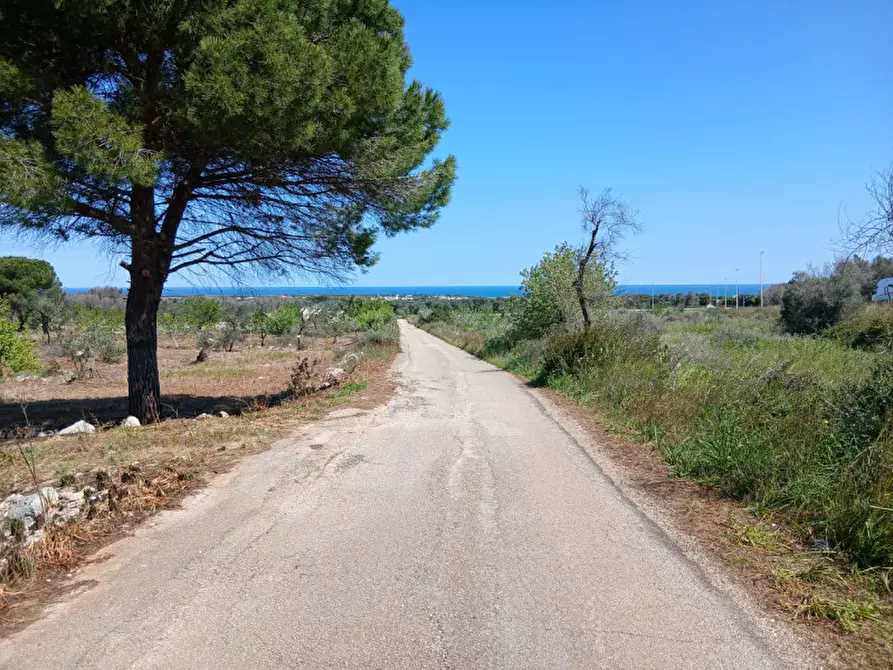Immagine 43 di Rustico / casale in vendita  in C.da Sierri a Carovigno