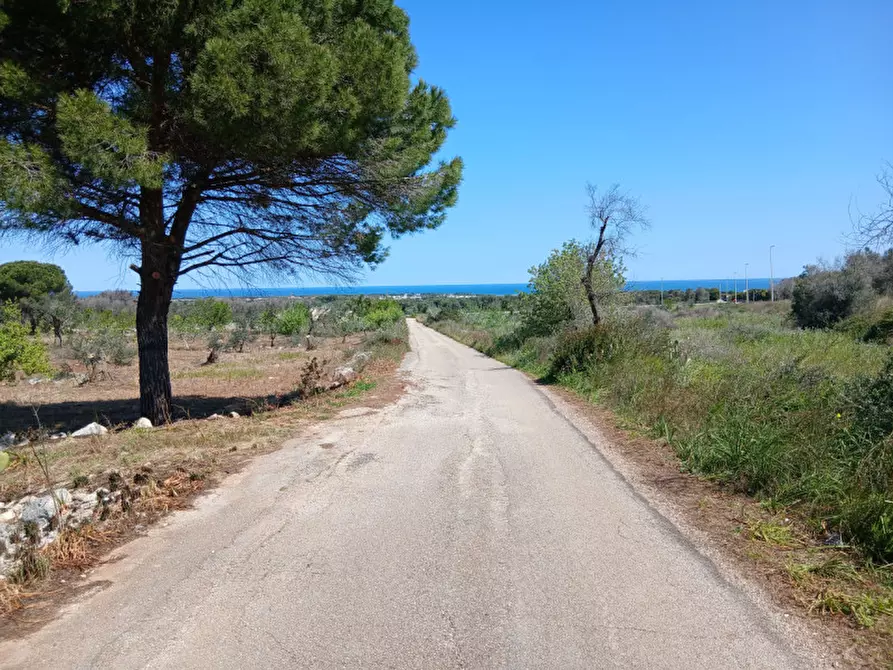 Immagine 44 di Rustico / casale in vendita  in C.da Sierri a Carovigno