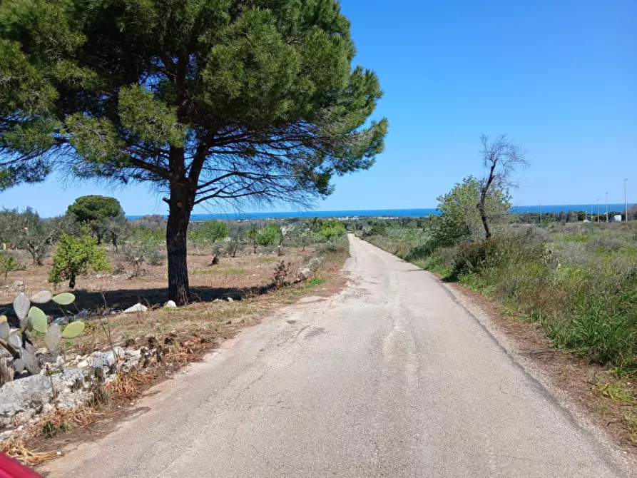 Immagine 45 di Rustico / casale in vendita  in C.da Sierri a Carovigno