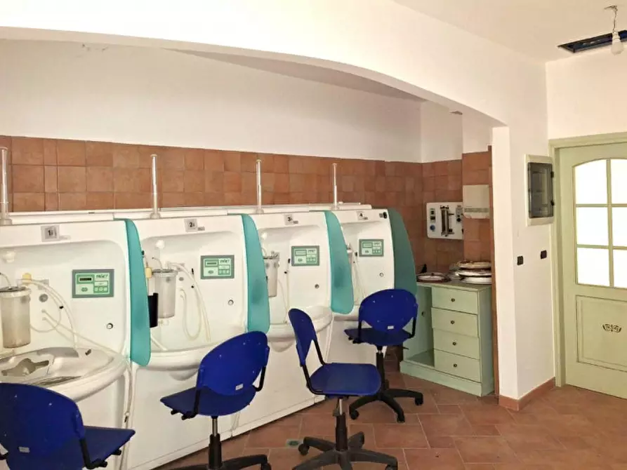 Immagine 10 di Attività commerciale in vendita  in Viale Martiri della Resistenza 1, 61010 Monte Grimano Terme PU, Italia a Monte Grimano Terme