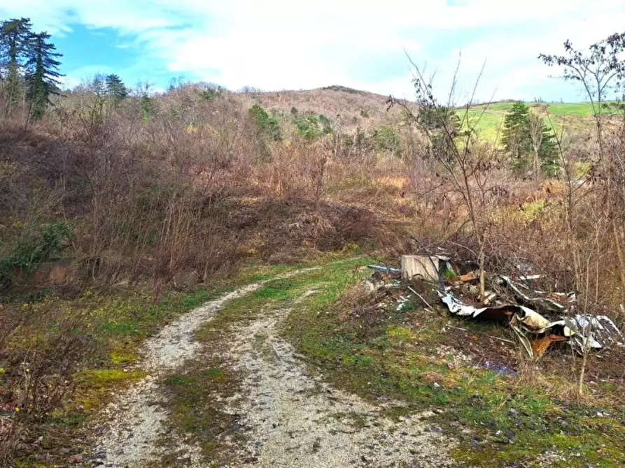 Immagine 29 di Attività commerciale in vendita  in Viale Martiri della Resistenza 1, 61010 Monte Grimano Terme PU, Italia a Monte Grimano Terme