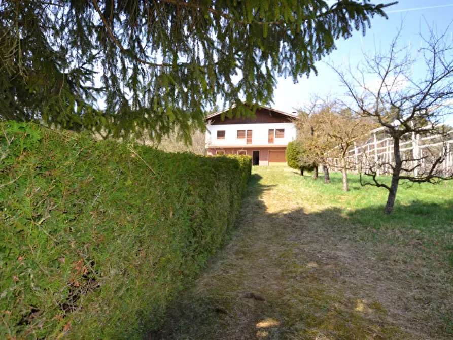 Immagine 2 di Casa indipendente in vendita  a Romeno