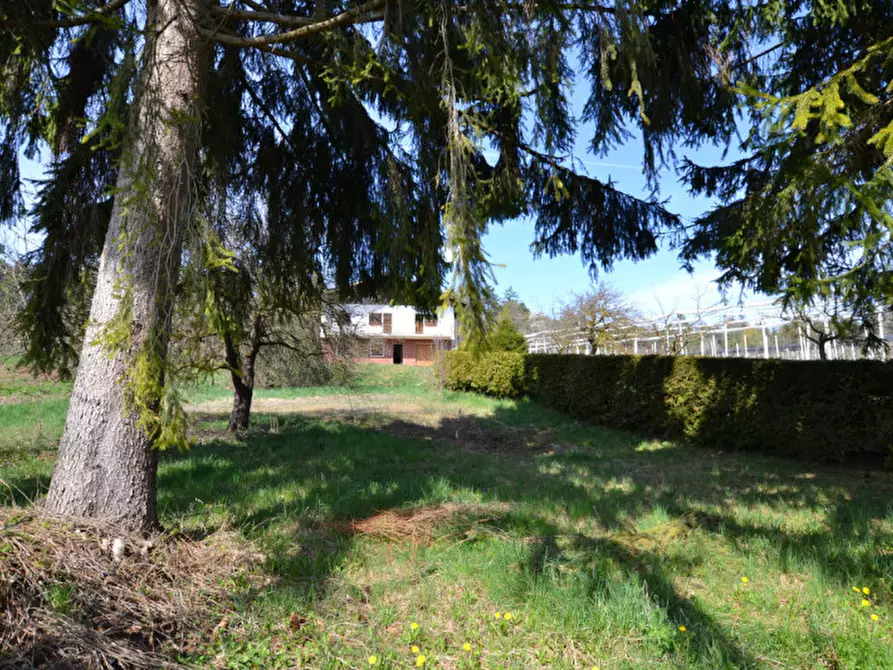 Immagine 3 di Casa indipendente in vendita  a Romeno