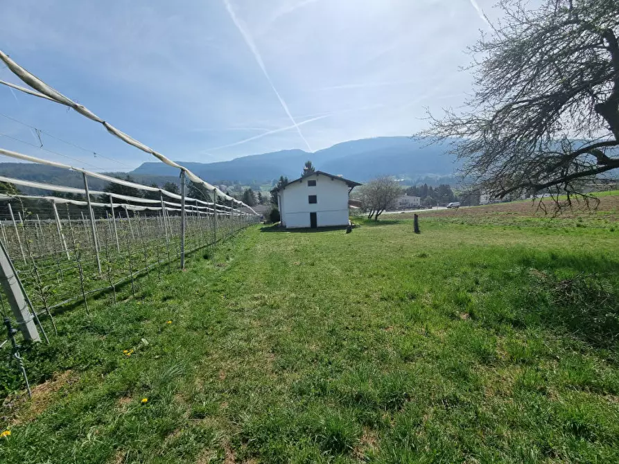 Immagine 4 di Casa indipendente in vendita  a Romeno