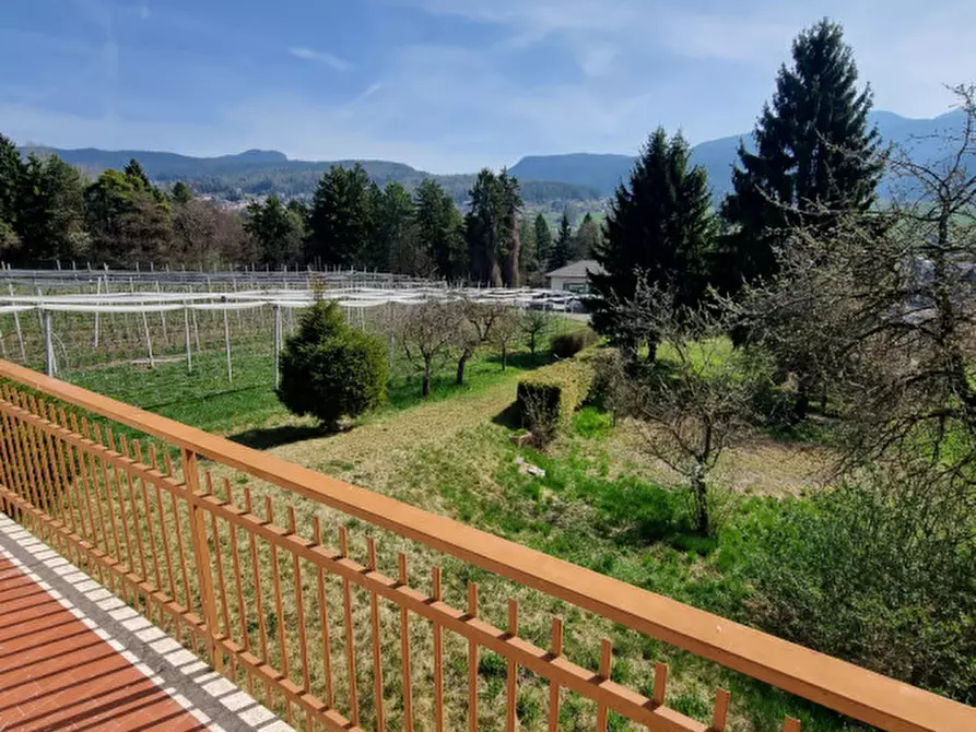 Immagine 15 di Casa indipendente in vendita  a Romeno