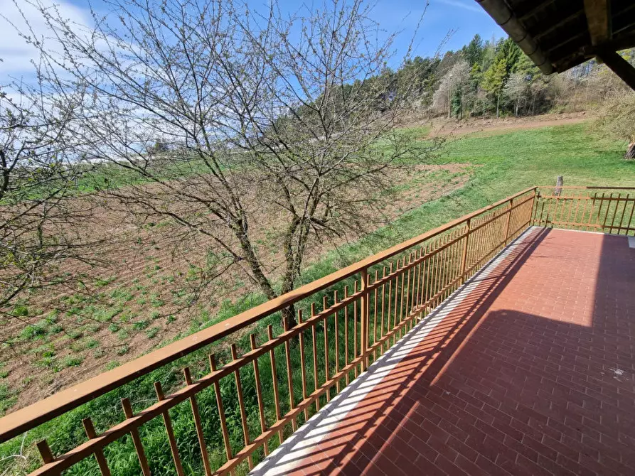 Immagine 16 di Casa indipendente in vendita  a Romeno