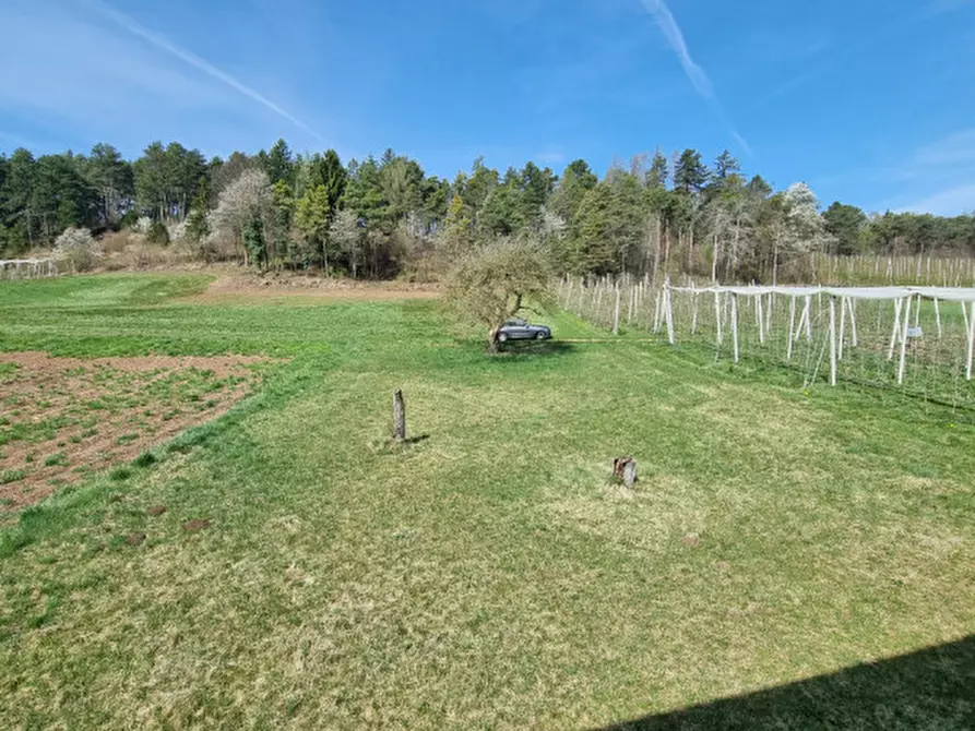 Immagine 17 di Casa indipendente in vendita  a Romeno