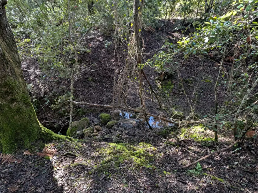 Immagine 22 di Terreno in vendita  a Monti