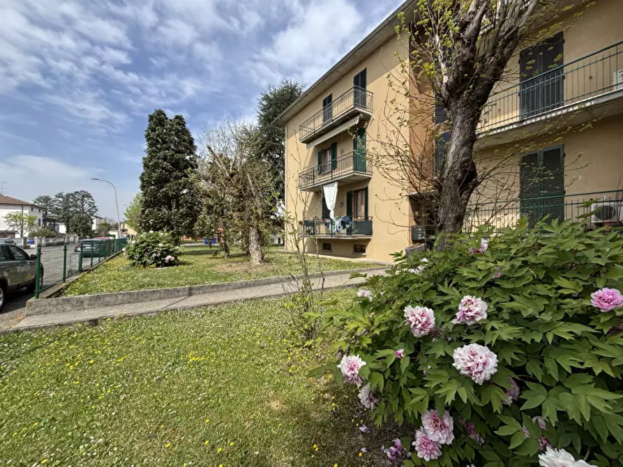 Immagine 4 di Appartamento in vendita  in Via Cesarino Testi, 7 a Sissa Trecasali