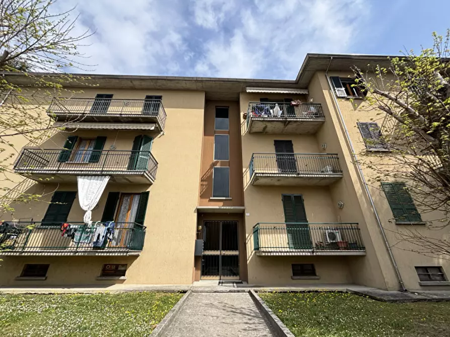 Immagine 25 di Appartamento in vendita  in Via Cesarino Testi, 7 a Sissa Trecasali