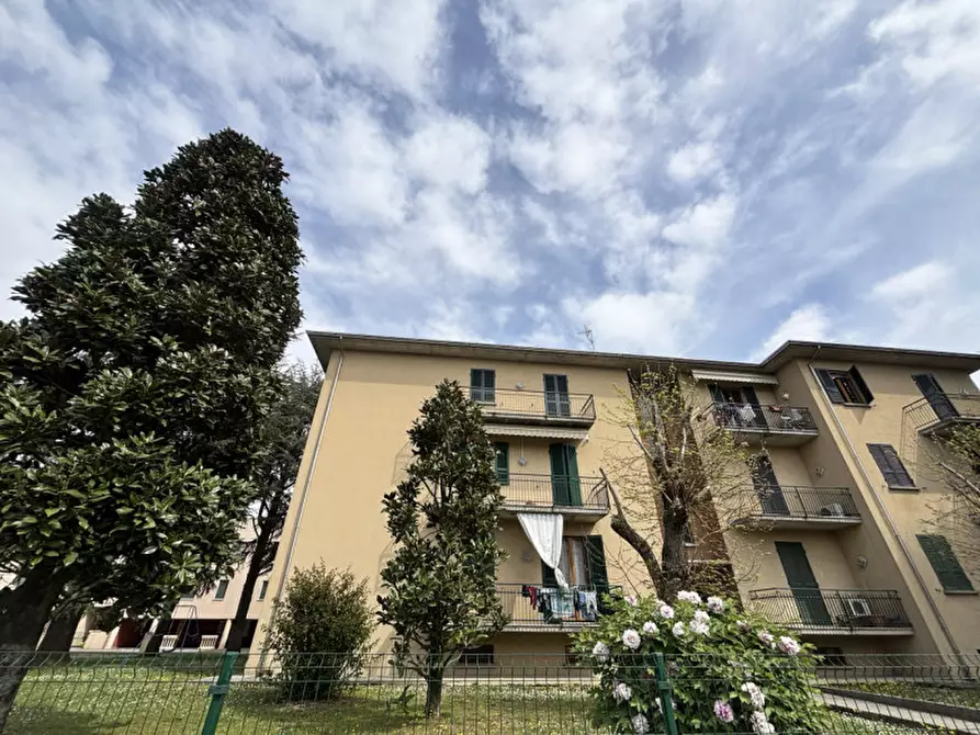 Immagine 29 di Appartamento in vendita  in Via Cesarino Testi, 7 a Sissa Trecasali