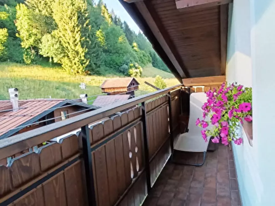 Immagine 12 di Appartamento in vendita  in Via Dante Alighieri a Santo Stefano Di Cadore