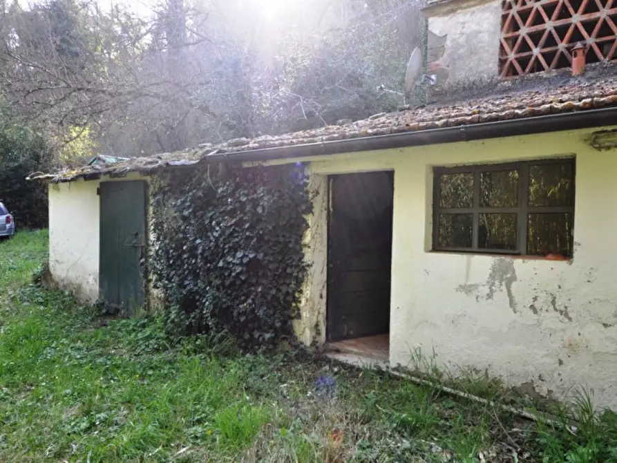 Immagine 4 di Rustico / casale in vendita  in via di Montaio a Cavriglia