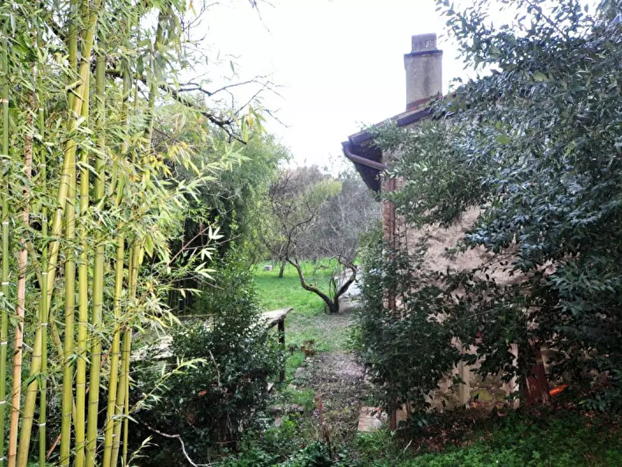 Immagine 25 di Rustico / casale in vendita  in via di Montaio a Cavriglia