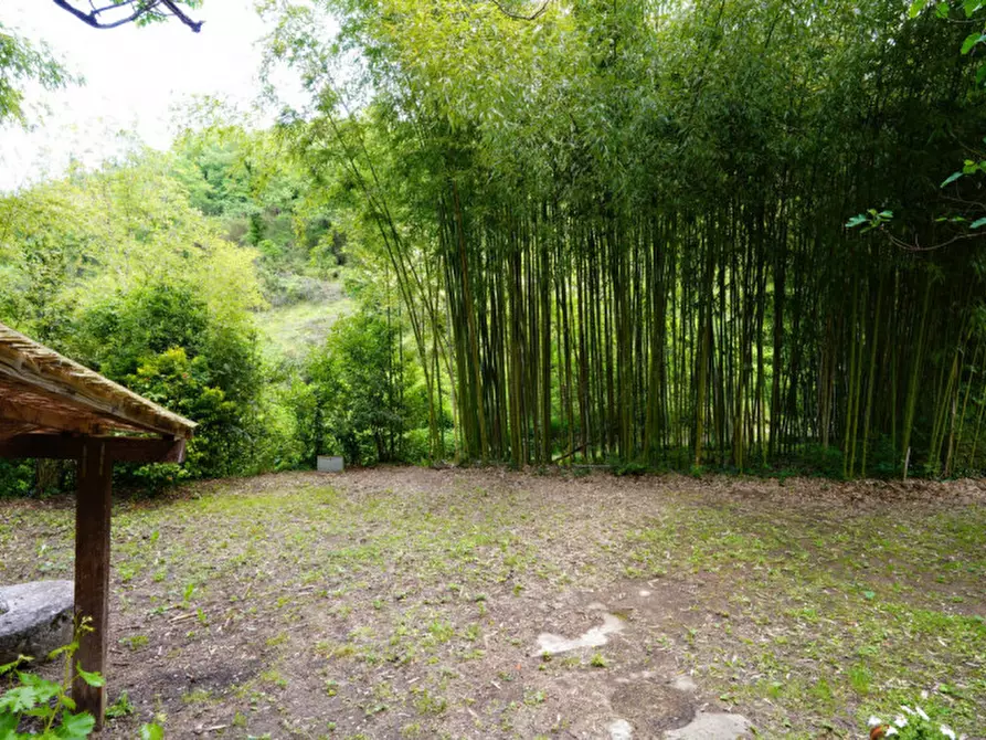 Immagine 26 di Rustico / casale in vendita  in via di Montaio a Cavriglia