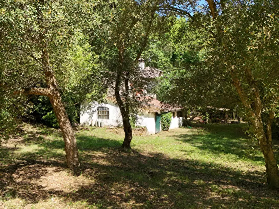 Immagine 28 di Rustico / casale in vendita  in via di Montaio a Cavriglia