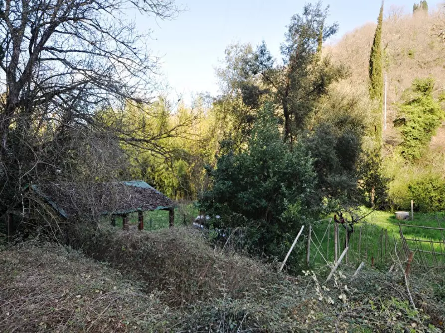 Immagine 28 di Rustico / casale in vendita  in via di Montaio a Cavriglia