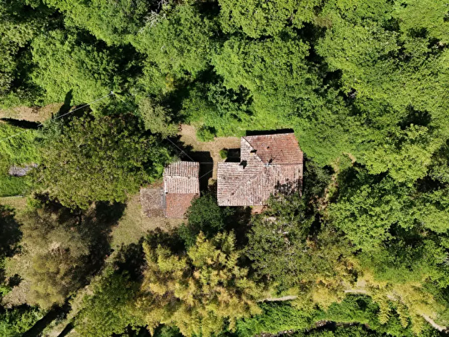 Immagine 30 di Rustico / casale in vendita  in via di Montaio a Cavriglia