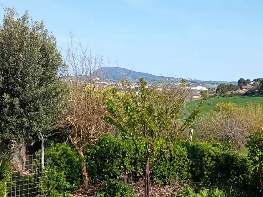 Immagine 22 di Appartamento in vendita  in via delle Fontanelle a Ancona