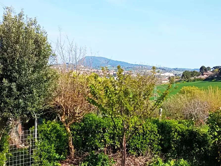 Immagine 25 di Appartamento in vendita  in via delle Fontanelle a Ancona