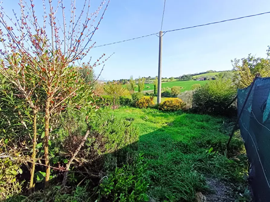 Immagine 27 di Appartamento in vendita  in via delle Fontanelle a Ancona