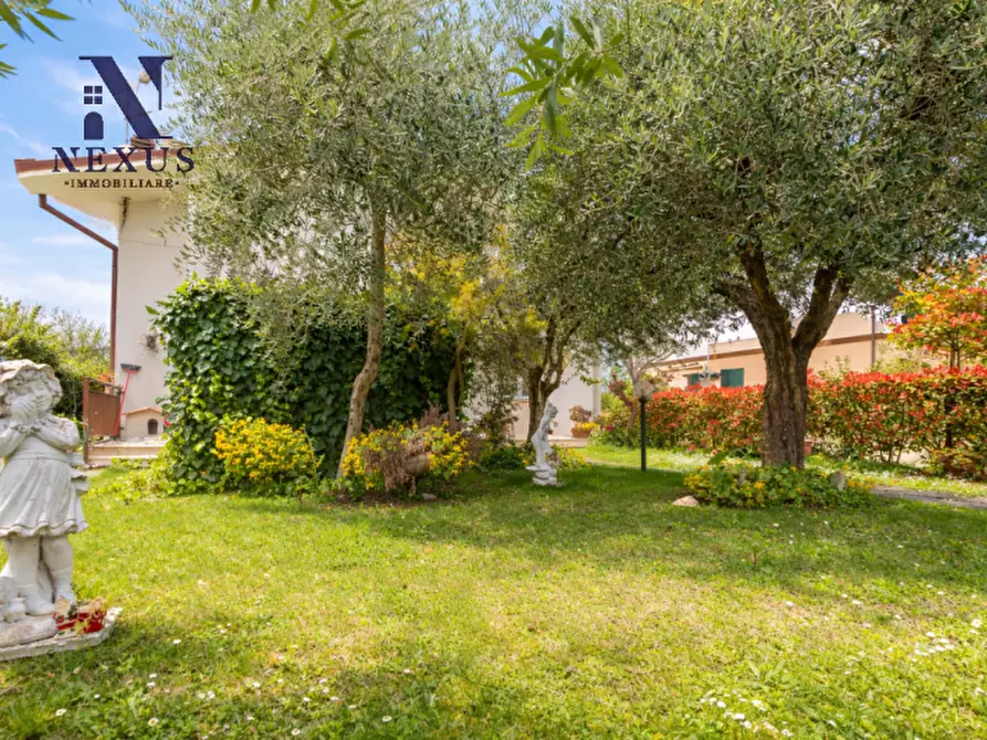 Immagine 3 di Villa in vendita  a Terre Roveresche