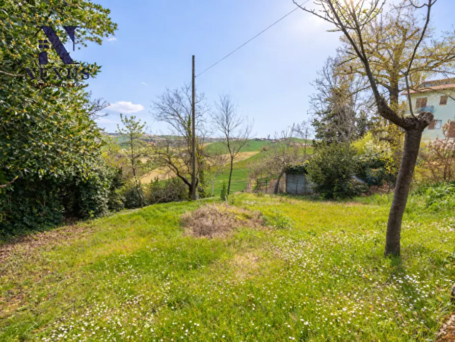 Immagine 39 di Casa indipendente in vendita  a Terre Roveresche
