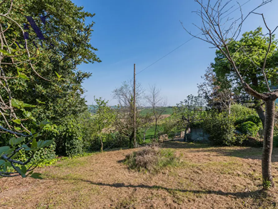 Immagine 43 di Casa indipendente in vendita  a Terre Roveresche