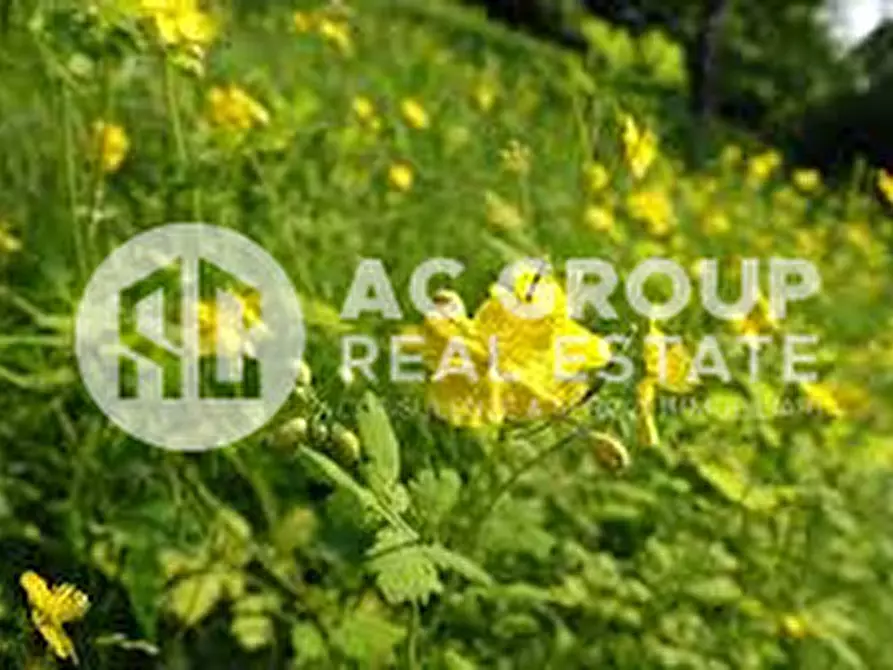 Immagine 5 di Terreno in vendita  a Cesate