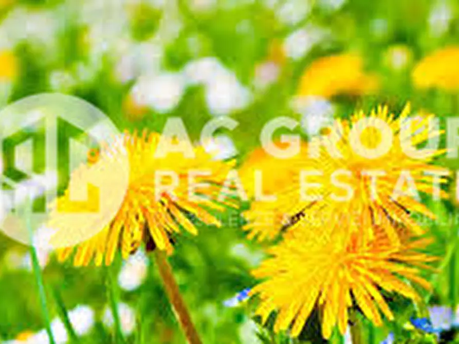 Immagine 6 di Terreno in vendita  a Cesate