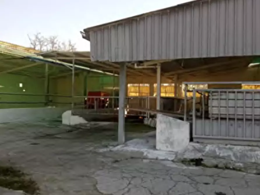 Immagine 1 di Magazzino in vendita  in Via Sommavilla a Tombolo