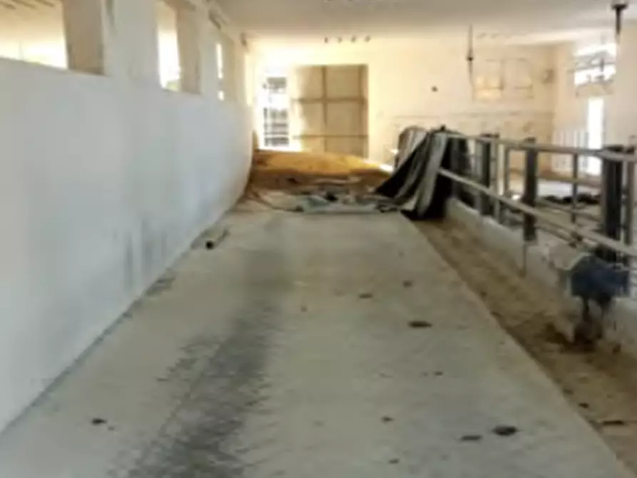 Immagine 4 di Magazzino in vendita  in Via Sommavilla a Tombolo