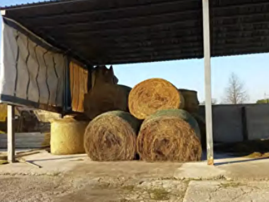 Immagine 5 di Magazzino in vendita  in Via Sommavilla a Tombolo