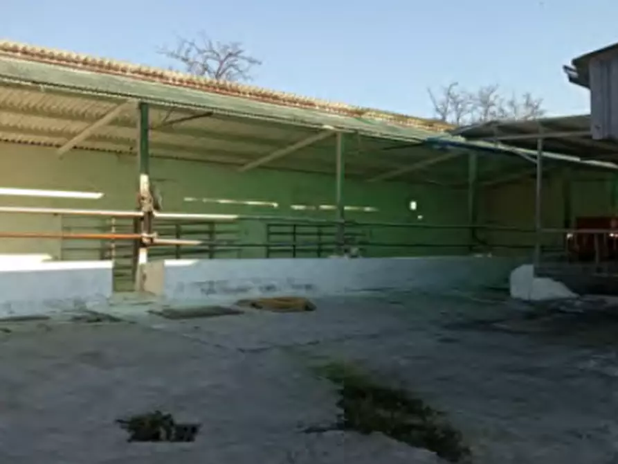 Immagine 6 di Magazzino in vendita  in Via Sommavilla a Tombolo