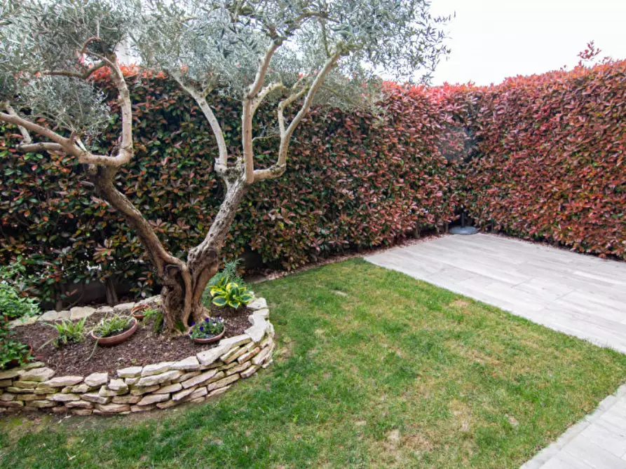 Immagine 13 di Casa trifamiliare in vendita  in Via Giuseppe Brezil a Piove Di Sacco