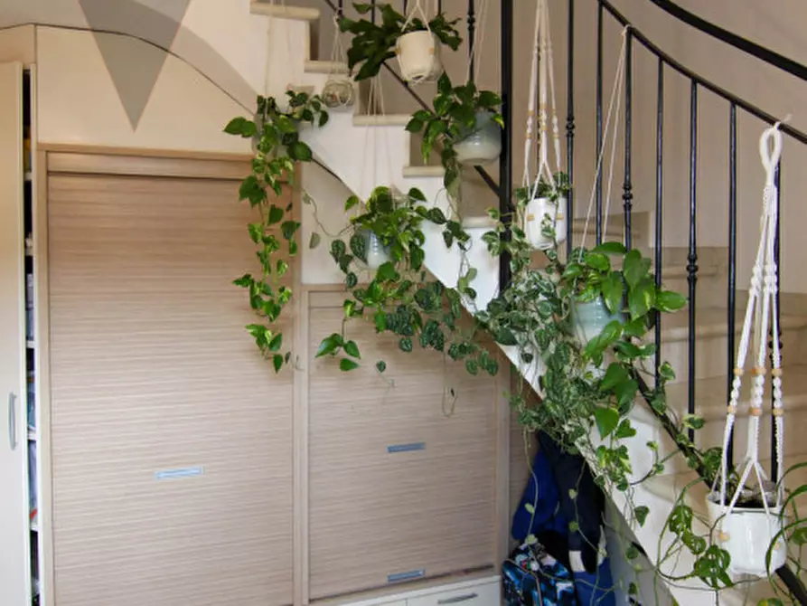 Immagine 15 di Casa trifamiliare in vendita  in Via Giuseppe Brezil a Piove Di Sacco