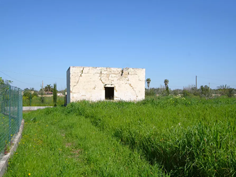 Immagine 11 di Terreno in vendita  in Strada Vicinale Tammali a Matino