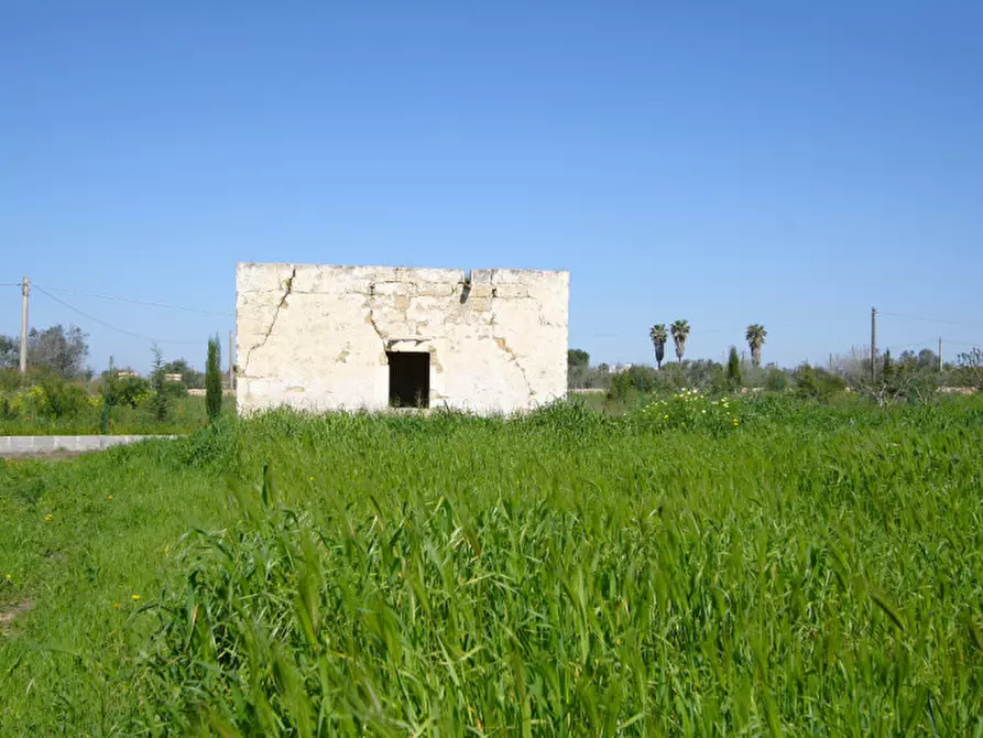 Immagine 12 di Terreno in vendita  in Strada Vicinale Tammali a Matino