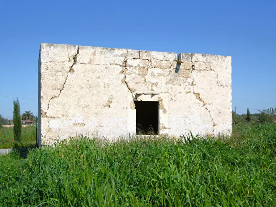 Immagine 16 di Terreno in vendita  in Strada Vicinale Tammali a Matino